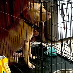 Meet your Posher, Boss lady